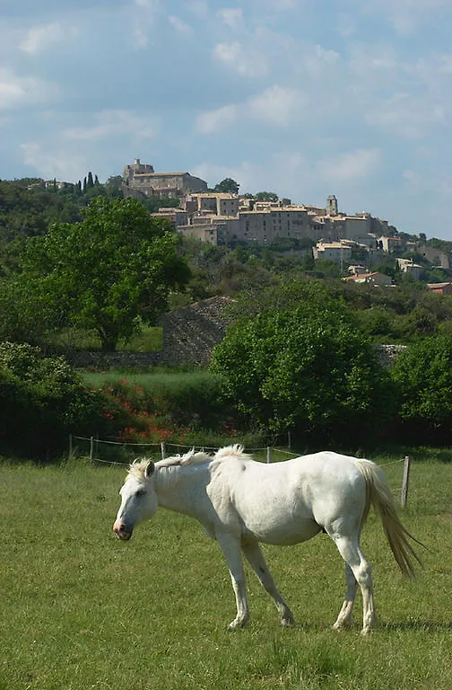 La Fontaine Bed & Breakfast Simiane-la-Rotonde